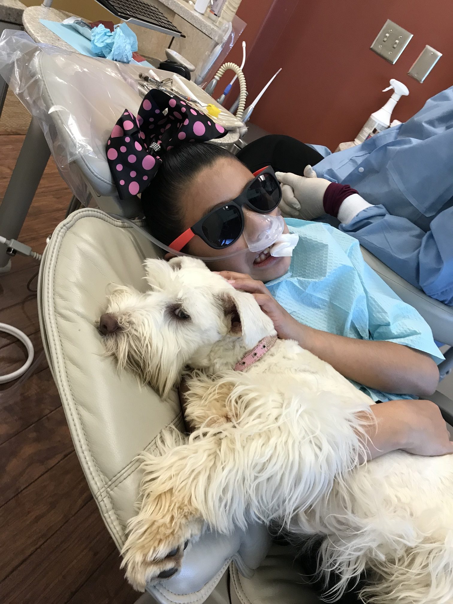 Therapy Dogs at the Dentist?